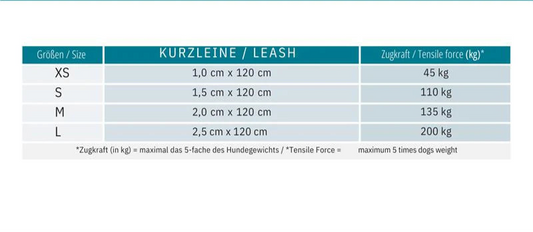 Max & Molly Kurzleine - Comic