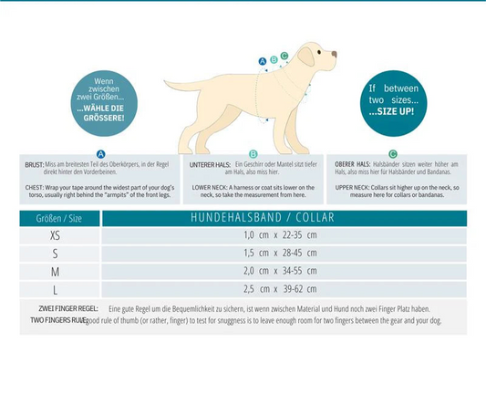 Max & Molly GOTCHA! Smart ID Halsband - Heroes