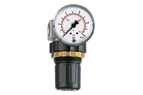 RIEGLER 482.20 C Druckregler "Standard-mini", Schalttafelmutter, G 1/4, 0,5-10 bar
