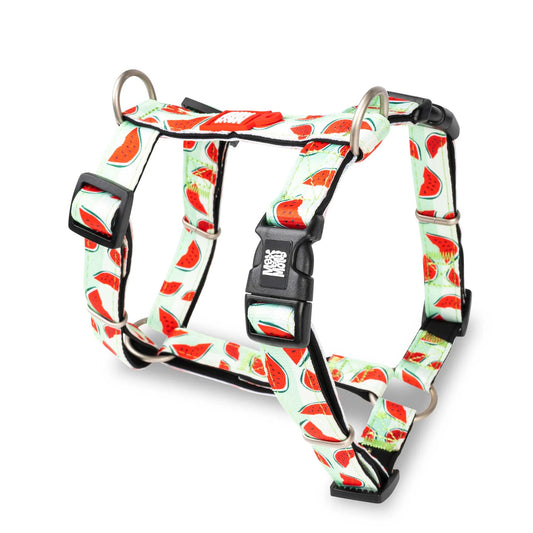 Max & Molly H-Geschirr für Hunde- Watermelon